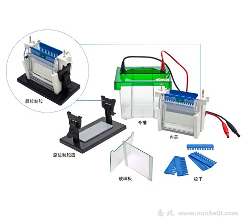 JY-SCZ2+垂直电泳槽